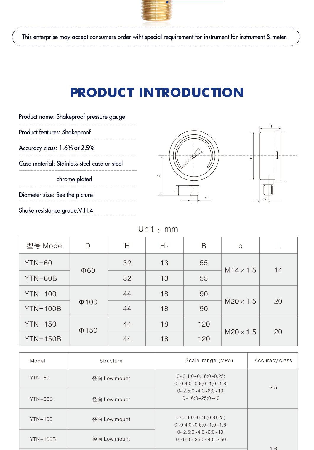 Shockproof pressure gauge