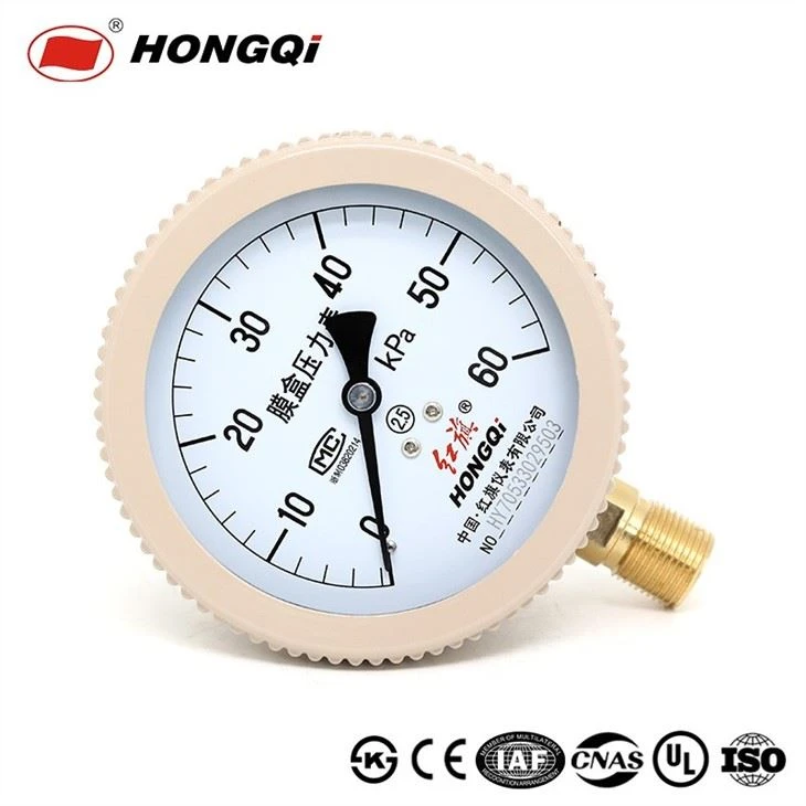 YE-100 Capsule Low Pressure Gauge OEM Design Pressure Meter