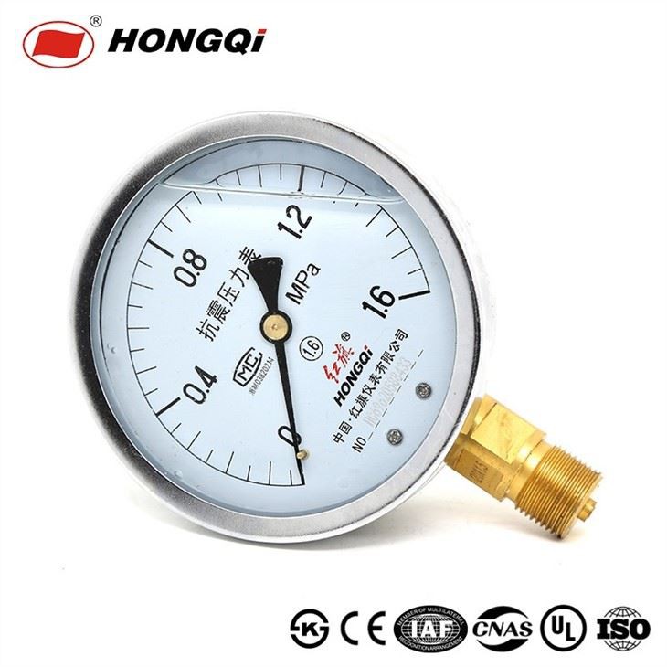 Ytn-100 Stainless Steel Liquid Filled Spring Pressure Gauge
